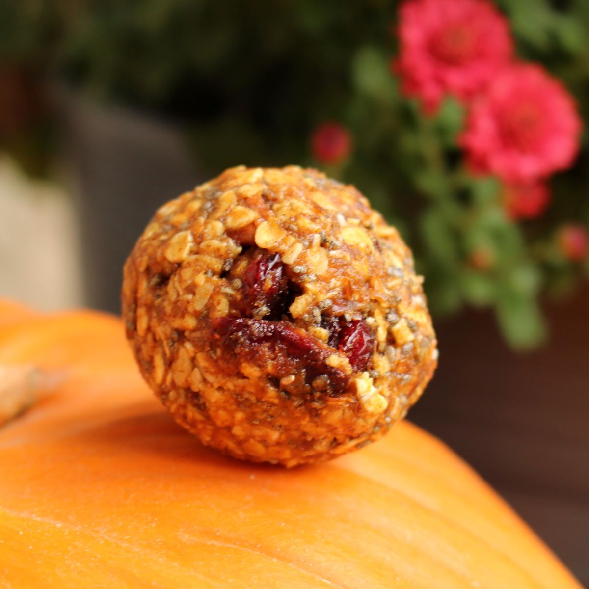 Easy No Bake Pumpkin Energy Balls Freckle Face Foodie easy-no-bake-pumpkin-energy-balls-freckle-face-foodie