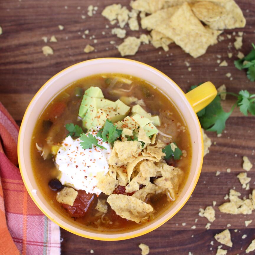 Salsa Verde Chicken Soup topped with plain Greek yogurt, crunched up tortilla chips, cilantro, avocado, and a sprinkle of tajin