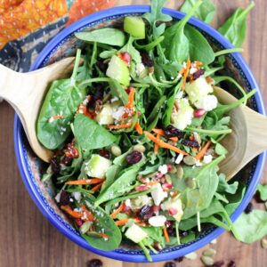 salad with apples, feta, pecans, pompegranite arils, dried cranberries and carrots